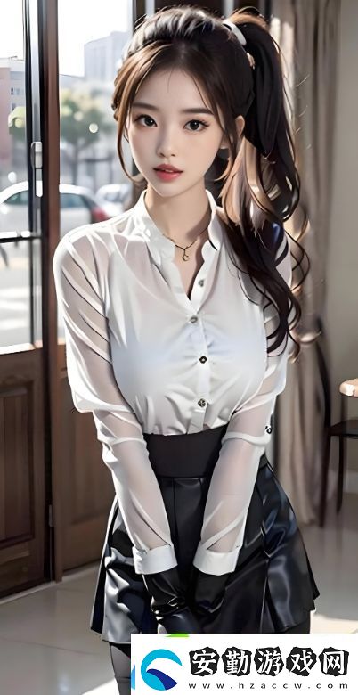 探索美國高清Windows視頻軟件