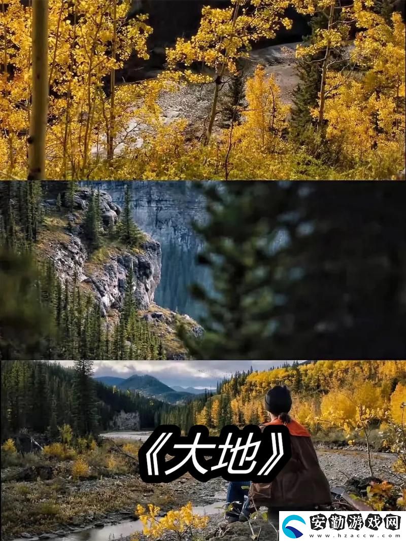 探索“大地資源視頻在線(xiàn)觀看免費(fèi)高清”的無(wú)限可能
