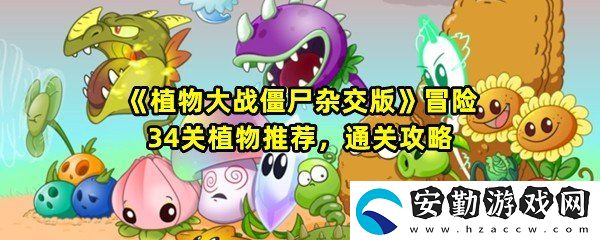 植物大戰(zhàn)僵尸雜交版冒險34關怎么放置植物