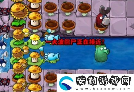 植物大戰(zhàn)僵尸雜交版冒險34關怎么放置植物