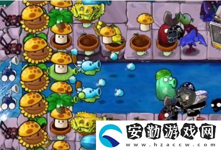 植物大戰(zhàn)僵尸雜交版冒險34關怎么放置植物