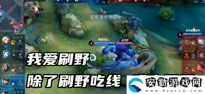王者榮耀果盤(pán)先生含義介紹