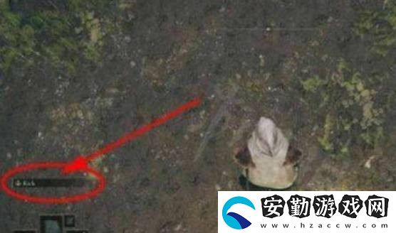 艾爾登法環(huán)全專用戰(zhàn)技武器強度分析