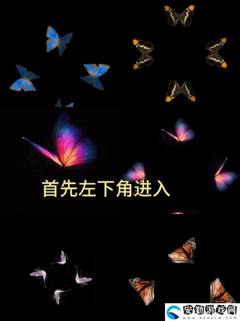內容豐富蝴蝶視頻