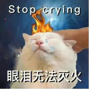 誅仙隊(duì)友你好