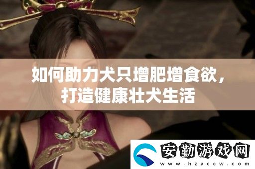 如何助力犬只增肥增食欲