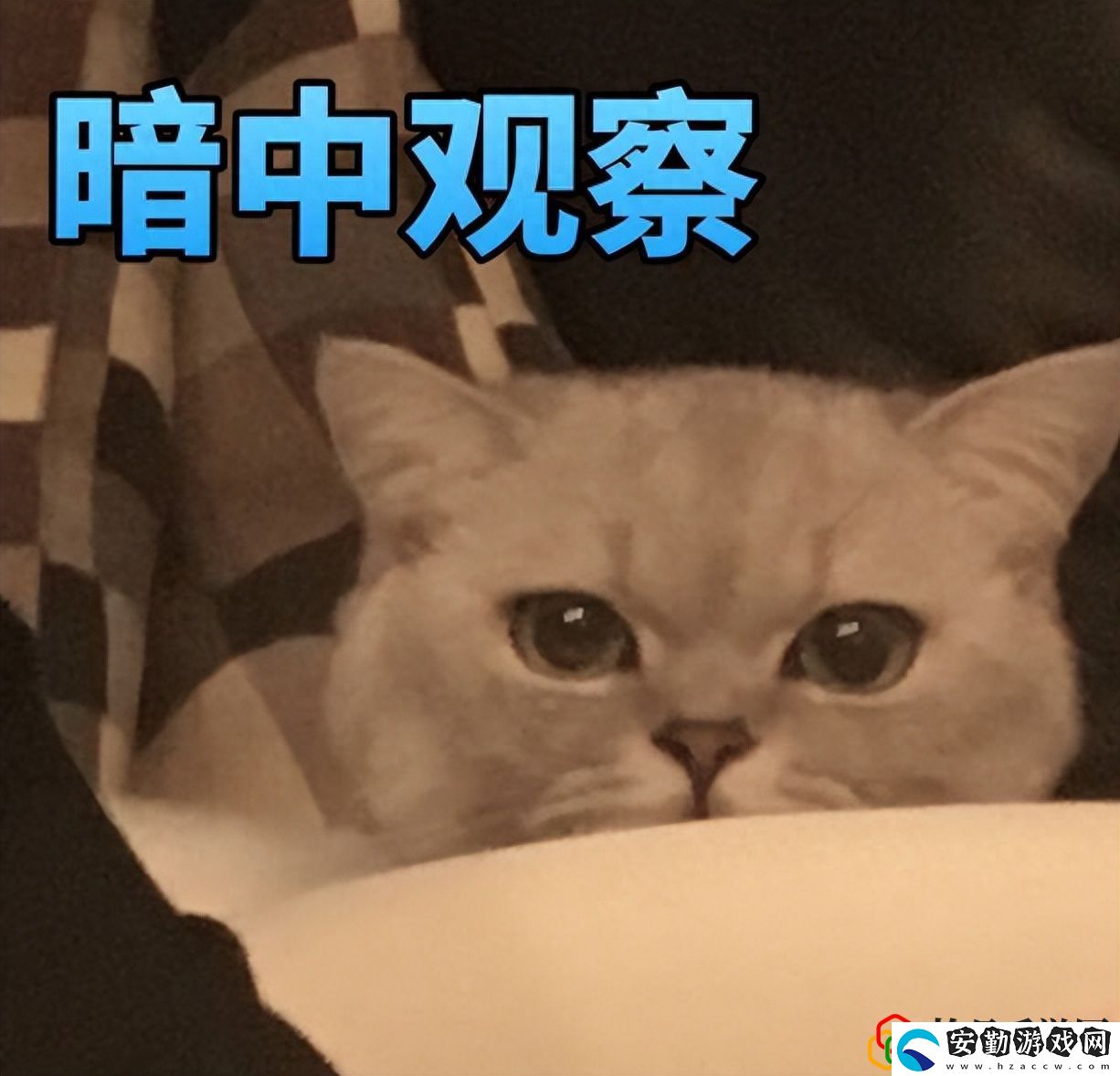 反恐精英經(jīng)典武器大盤點