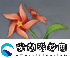 原神風車菊最佳采集路線