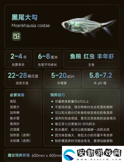 又大又長又粗又大又黑且極具特色的奇妙事物