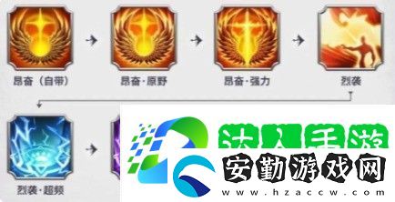 萬龍覺醒寵物技能搭配推薦