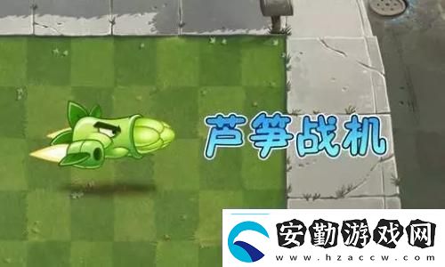 帝國(guó)時(shí)代3為什么顯示沒有地圖顯示