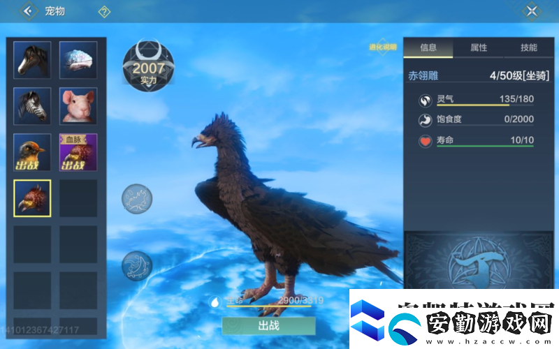 妄想山海赤翎雕捕捉難題如何解位置坐標與捕捉技巧全揭秘