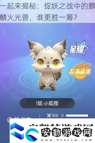 一起來(lái)揭秘