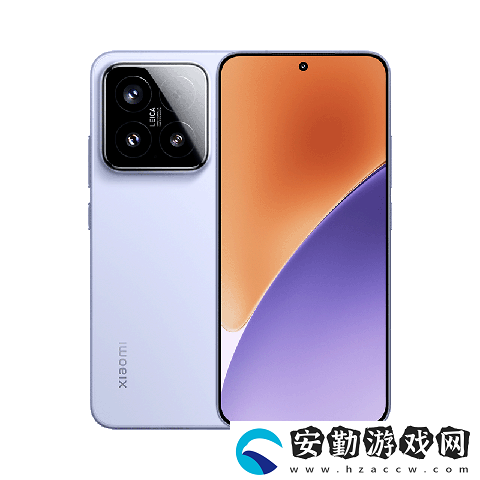 國補后立打